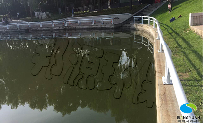 湖水生物治理后，恢复良好表观