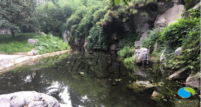 湖水净化后，水质提升，透明度大幅度提高