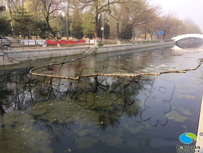 西土城沟治理前水体爆发水绵