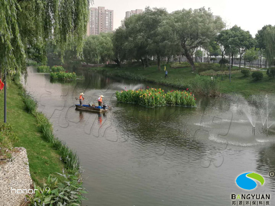 中心河河道生物治理项目治理后效果图