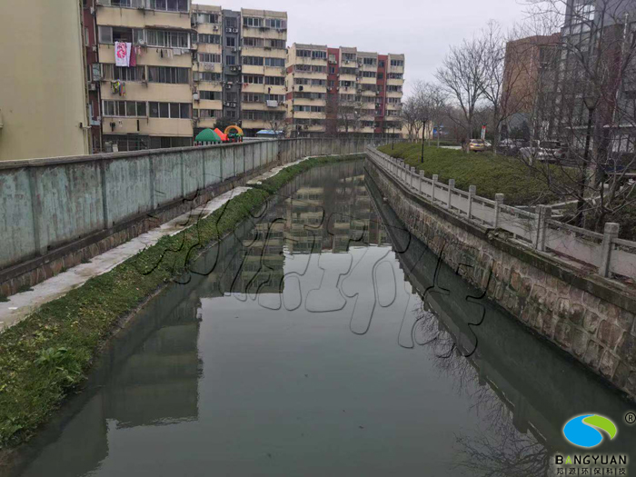 治理前，水体浑浊，水体自净能力差，黑臭现象突出